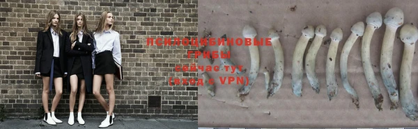 тгк Новодвинск