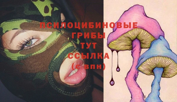 Альфа ПВП Абаза