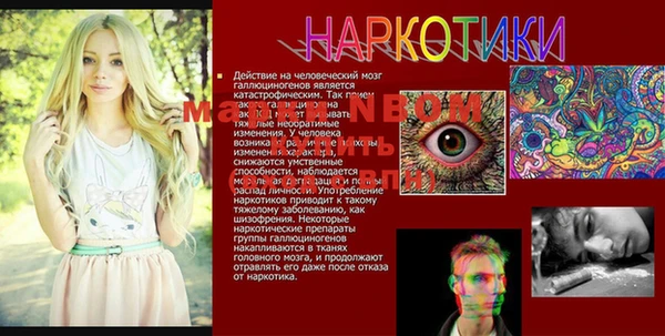 соль ск Новозыбков