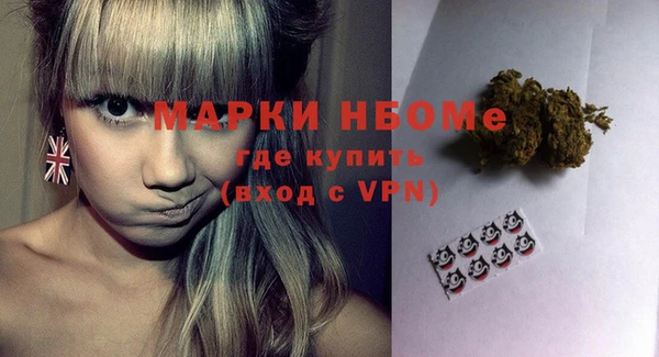 тгк Новодвинск