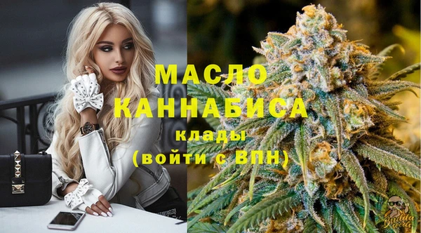 соль ск Новозыбков
