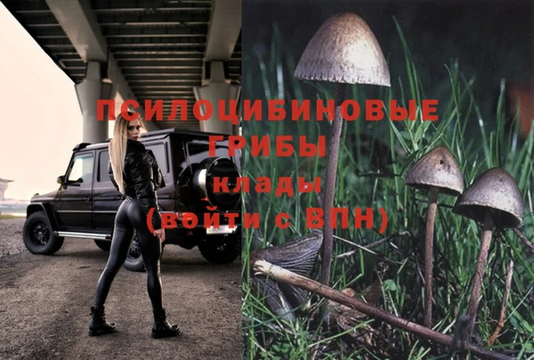тгк Новодвинск