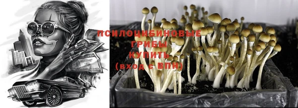 крисы Абдулино