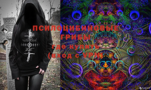 тгк Новодвинск