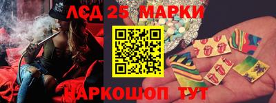 шишки Обь