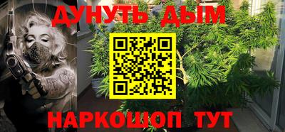 шишки Обь