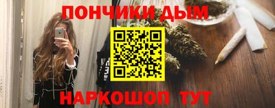 шишки Обь