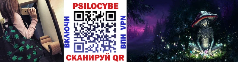 Псилоцибиновые грибы MAGIC MUSHROOMS  blacksprut ссылка  Торжок 