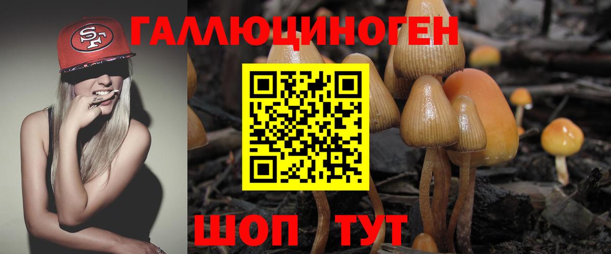Торжок  Галлюциногенные грибы мицелий  Вход с VPN  Псилоцибиновые грибы Psilocybine cubensis 